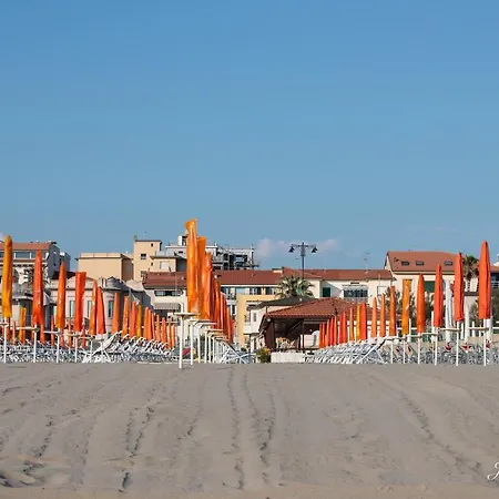 Pinetamare Viareggio